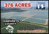 730 Hoke Road - Isola - Humphreys County - Photo 2