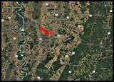 730 Hoke Road - Isola - Humphreys County - Photo 3
