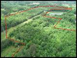 x Jacinto Road - Booneville - Prentiss County - Photo 12