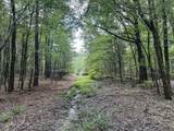 tbd Pine Lodge Road - Photo 41