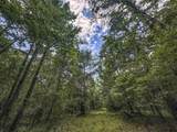 tbd Pine Lodge Road - Photo 45
