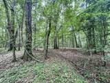 tbd Pine Lodge Road - Photo 49