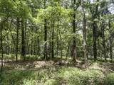 tbd Pine Lodge Road - Photo 55