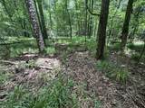 tbd Pine Lodge Road - Photo 59
