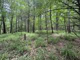 tbd Pine Lodge Road - Photo 65