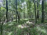 tbd Pine Lodge Road - Photo 70