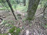 tbd Pine Lodge Road - Photo 83