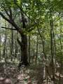 0 Pleasant Hill Road - Photo 15