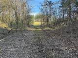 TBD County Road 47 - Photo 10