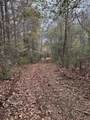 TBD County Road 47 - Photo 5