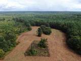 0 Mt. Gilead Road - Photo 1