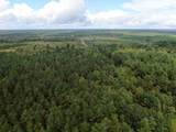 0 Mt. Gilead Road - Photo 12