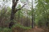 0 Mt. Gilead Road - Photo 19