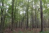 0 Mt. Gilead Road - Photo 21
