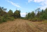 0 Mt. Gilead Road - Photo 24