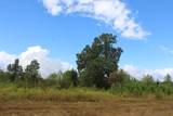 0 Mt. Gilead Road - Photo 27