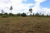 0 Mt. Gilead Road - Photo 29