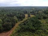 0 Mt. Gilead Road - Photo 3