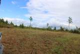 0 Mt. Gilead Road - Photo 30