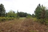 0 Mt. Gilead Road - Photo 31