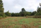 0 Mt. Gilead Road - Photo 32