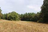 0 Mt. Gilead Road - Photo 35