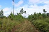 0 Mt. Gilead Road - Photo 38