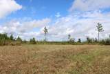 0 Mt. Gilead Road - Photo 39