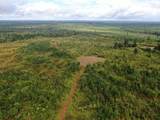 0 Mt. Gilead Road - Photo 4