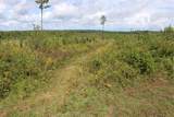 0 Mt. Gilead Road - Photo 40