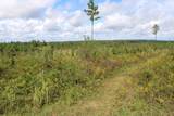 0 Mt. Gilead Road - Photo 41