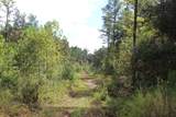 0 Mt. Gilead Road - Photo 42