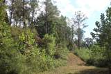 0 Mt. Gilead Road - Photo 43