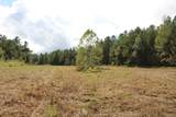 0 Mt. Gilead Road - Photo 47