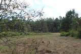 0 Mt. Gilead Road - Photo 48