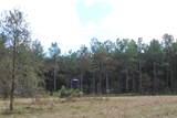 0 Mt. Gilead Road - Photo 49