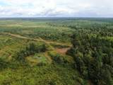 0 Mt. Gilead Road - Photo 5