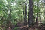 0 Mt. Gilead Road - Photo 51