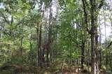 0 Mt. Gilead Road - Photo 52