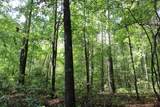 0 Mt. Gilead Road - Photo 55