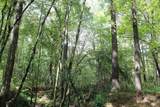 0 Mt. Gilead Road - Photo 59