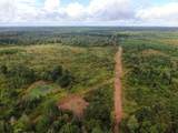 0 Mt. Gilead Road - Photo 6