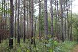0 Mt. Gilead Road - Photo 63