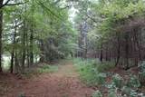 0 Mt. Gilead Road - Photo 65