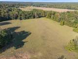 TBD County Road 313 - Photo 6