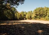 200 County Road 444 - Photo 19