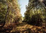200 County Road 444 - Photo 31