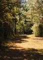 200 County Road 444 - Photo 40
