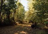 200 County Road 444 - Photo 45
