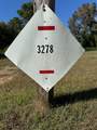 3278 Hwy 310 - Photo 51